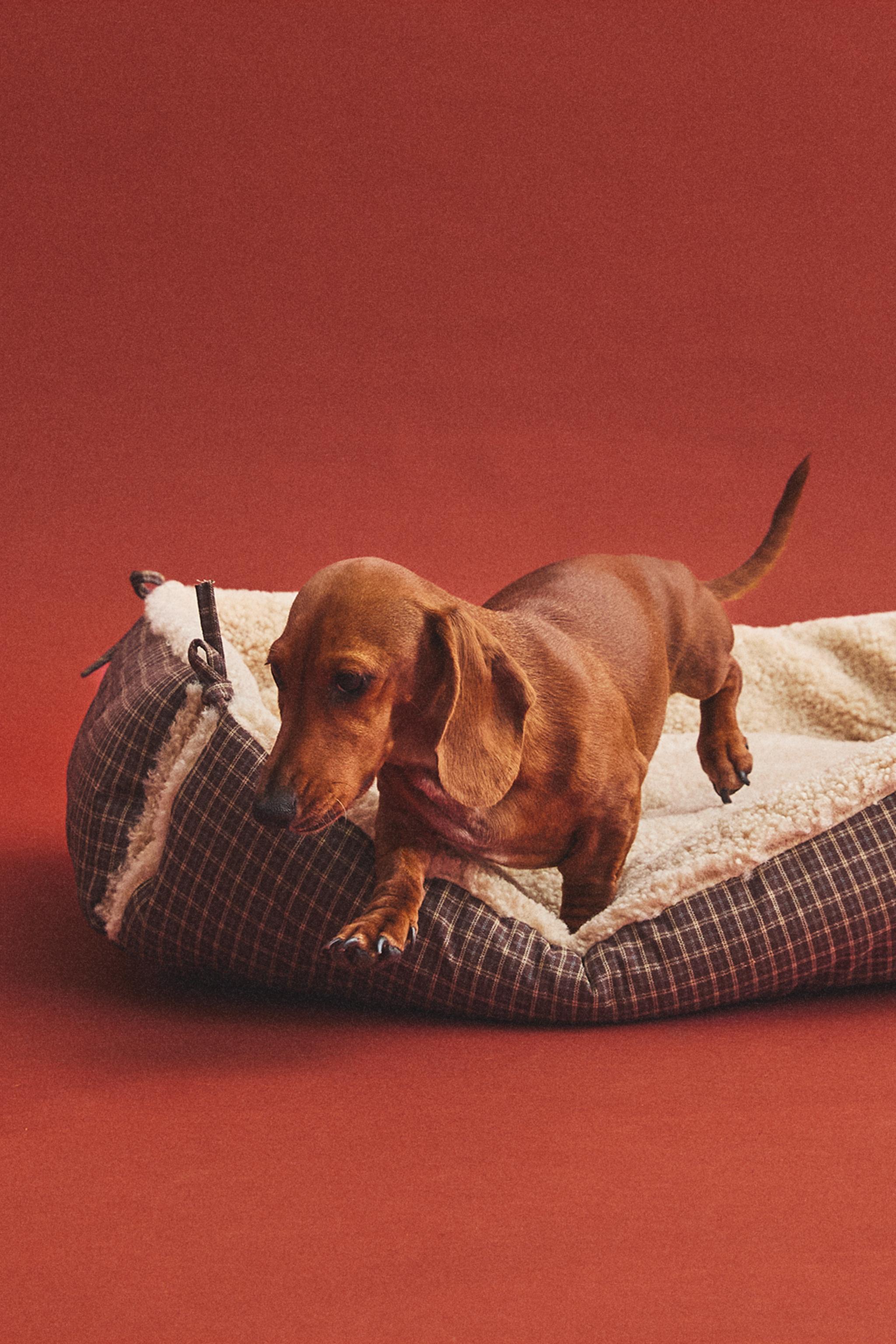 PANIER ANIMAUX DE COMPAGNIE CARREAUX